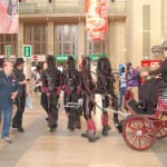 BDSM-Bild von der Venus 2012